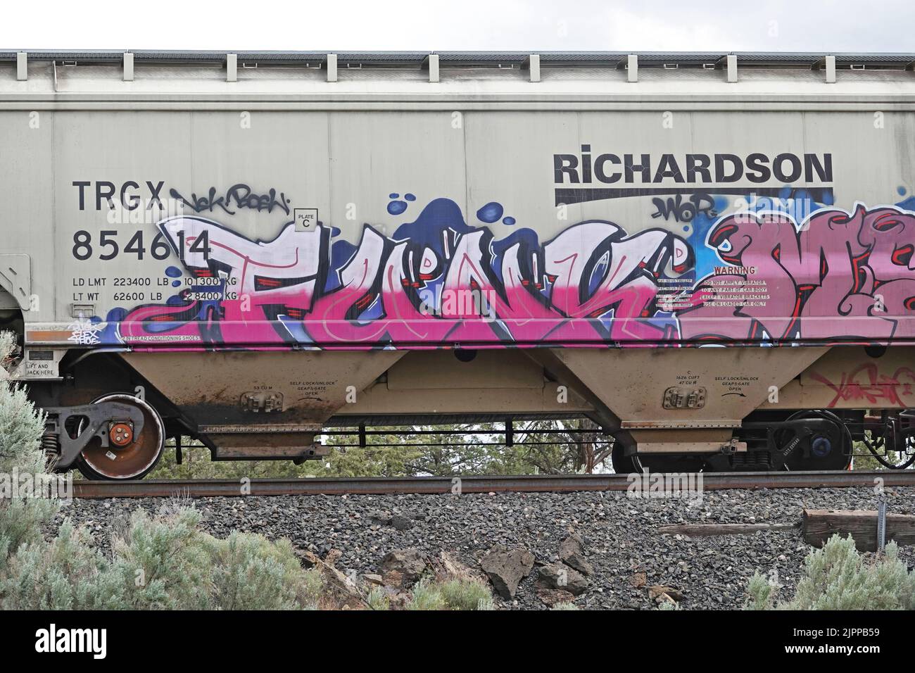Graffiti dipinta sul lato di un'auto ferroviaria nell'Oregon centrale. Foto Stock