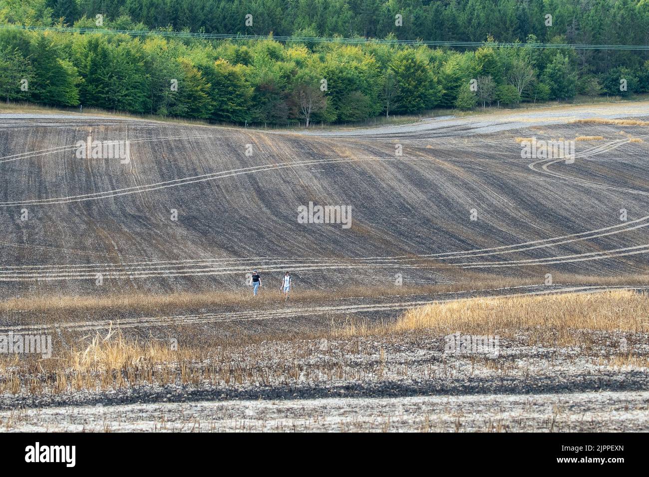 Wendover, Buckinghamshire, Regno Unito. 19th agosto, 2022. Le conseguenze di un incendio sul campo a Ellesborough. Questo è lo stesso campo in cui le lettere NHS sono state tagliate durante la pandemia del Covid-19 dal contadino locale Daniel Hares della Buckmoorend Farm. Il campo non è lontano dalla residenza di campagna del primo ministro, Chequers. Credit: Maureen McLean/Alamy Live News Foto Stock