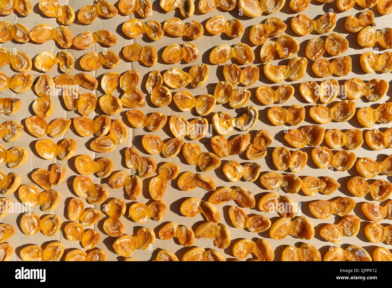 Albicocche che asciugano alla luce del sole. Foto Stock