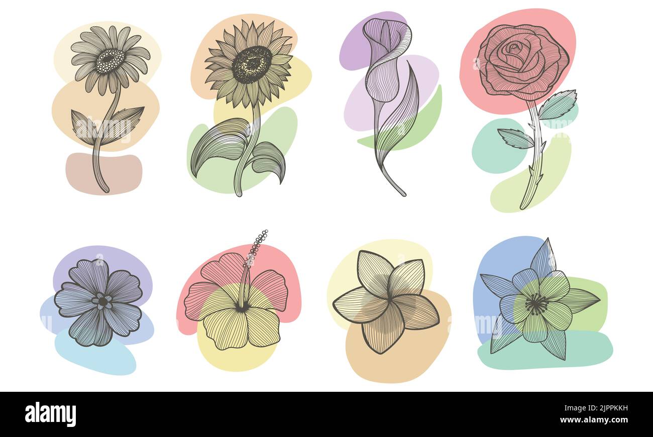 Flower line art boho elementi estetici set illustrazione vettoriale Illustrazione Vettoriale