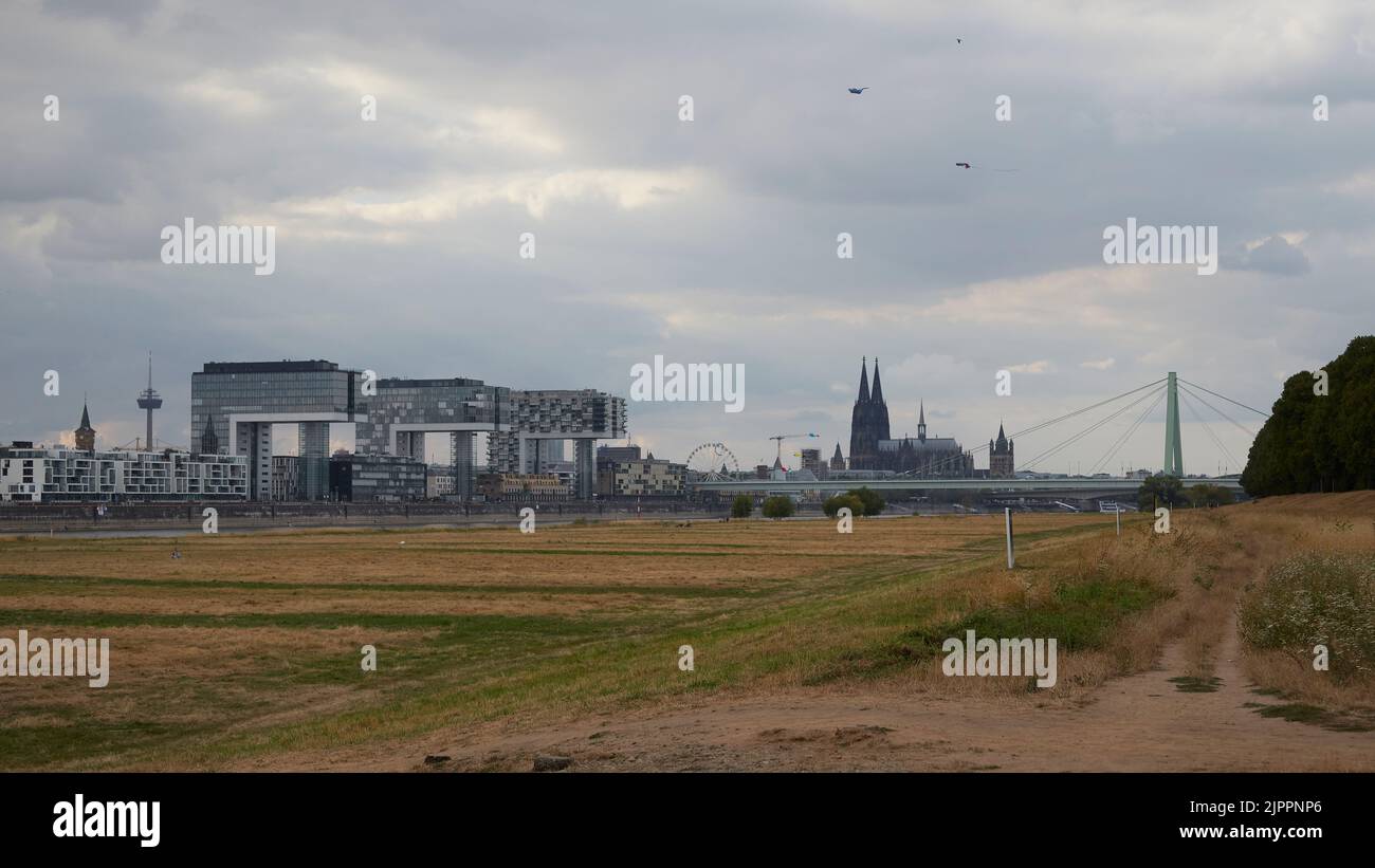 Vista panoramica della città di Colonia da un prato all'altro lato del fiume reno con la bassa marea Foto Stock