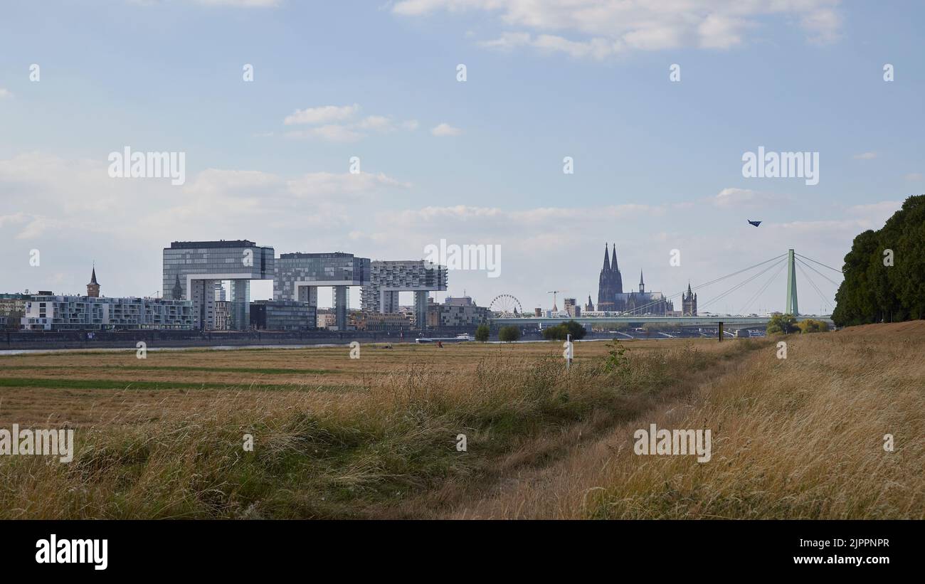 Vista panoramica della città di Colonia da un prato all'altro lato del fiume reno con la bassa marea Foto Stock