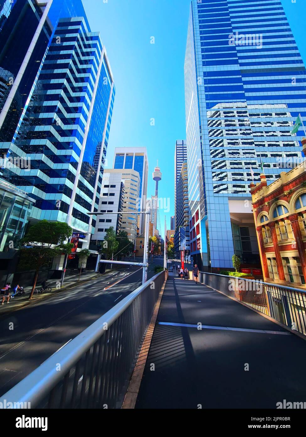 Un'immagine verticale di alti grattacieli con pareti di vetro blu che si allungano sulle strade di Sydney, Australia Foto Stock