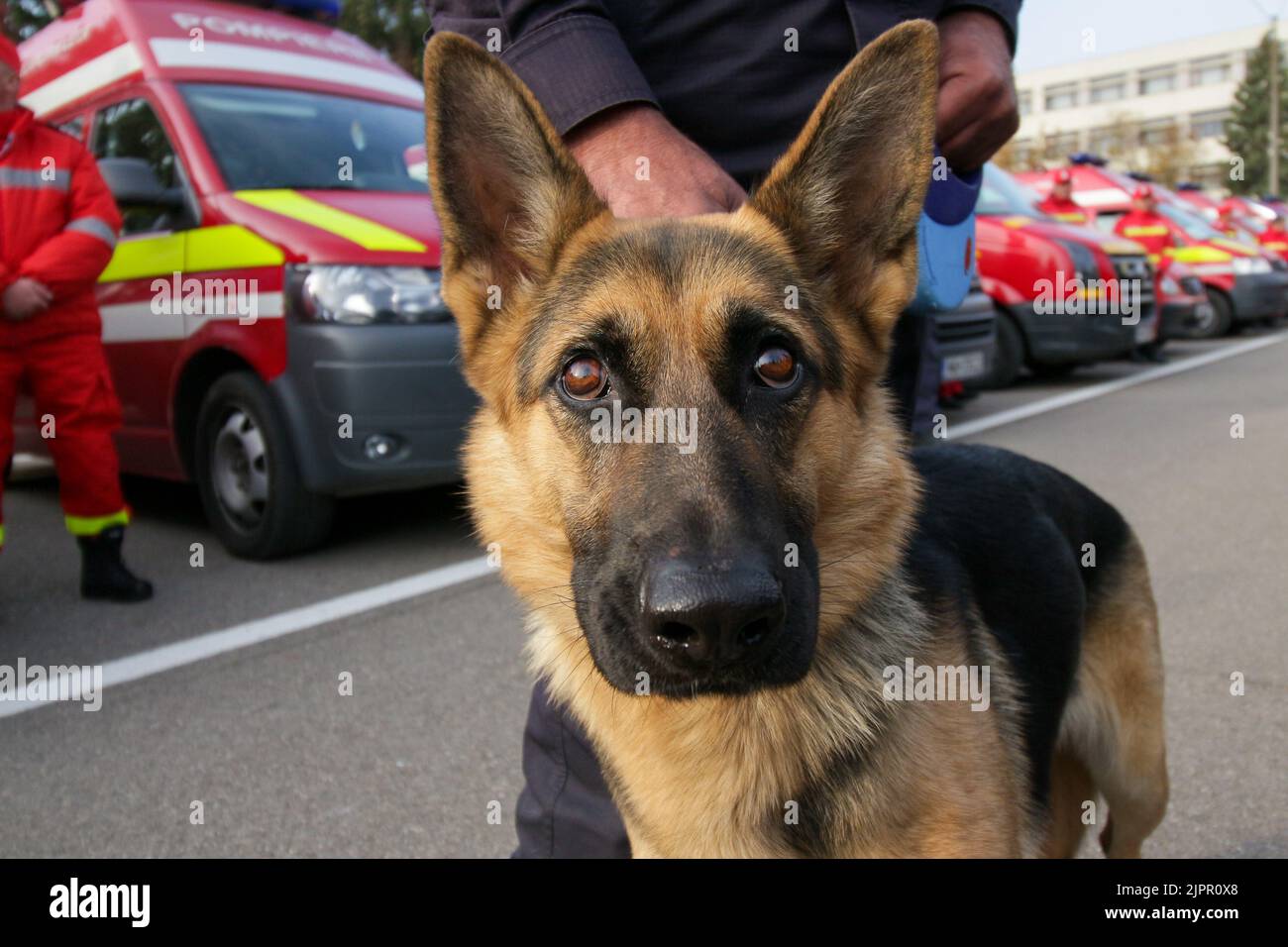 Bucarest, Romania - 18 ottobre 2018: Squadre al modulo UE Esercizi 'EU Modex 2018' ricerca urbana e salvataggio esercizio di protezione civile. Questa immagine è f Foto Stock