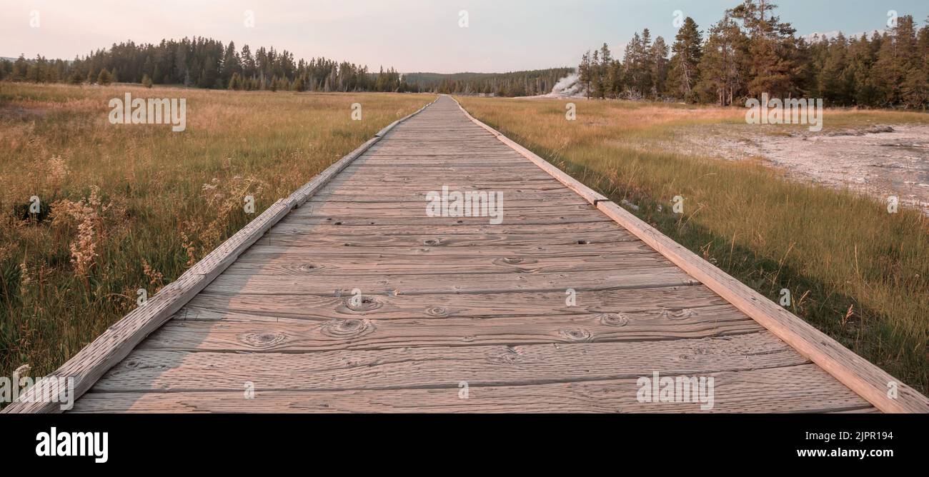 Passerelle in legno nelle aree geotermiche del parco nazionale di Yellowstone, Wyoming, USA Foto Stock