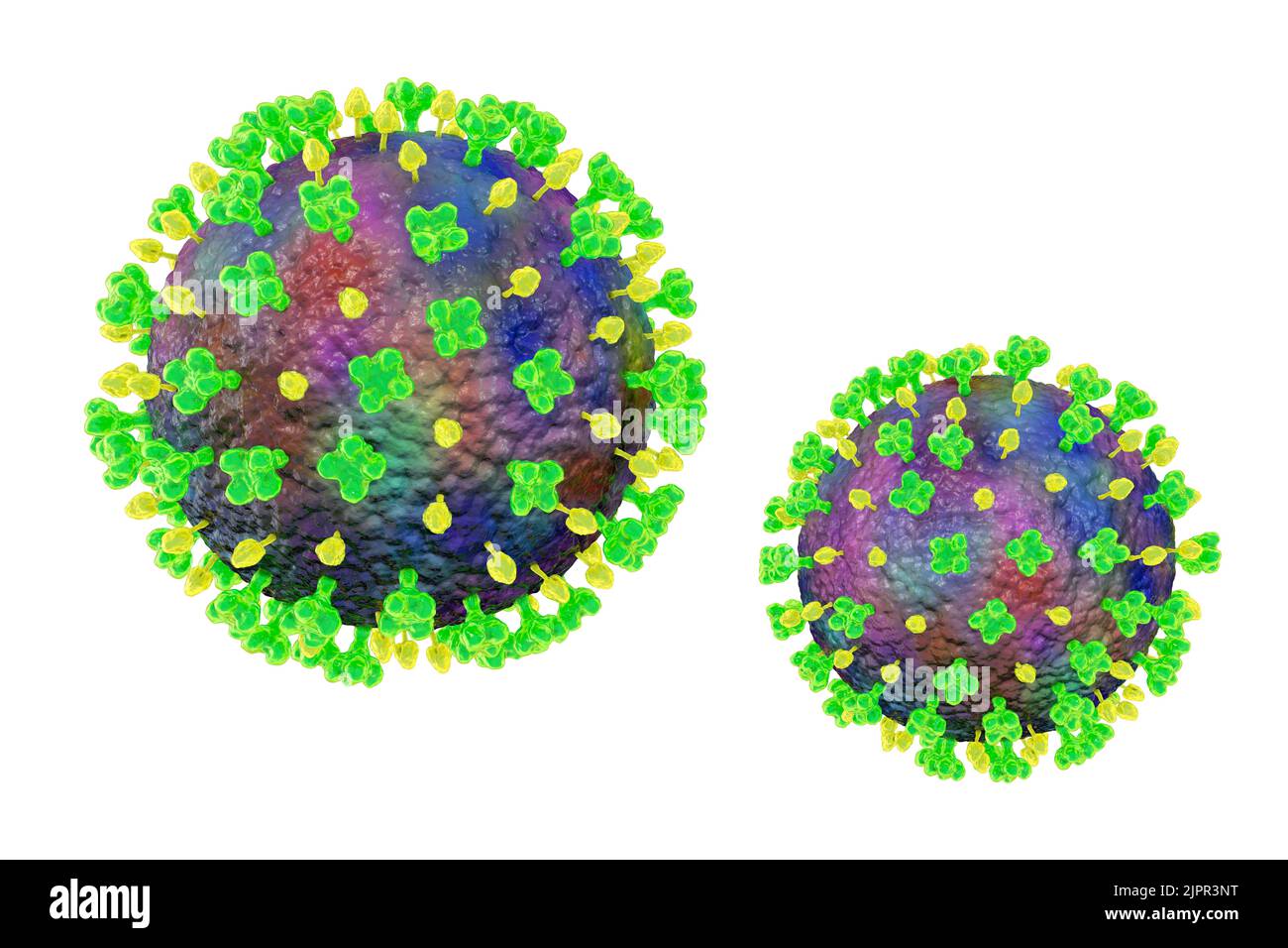 Langya virus, illustrazione Foto Stock