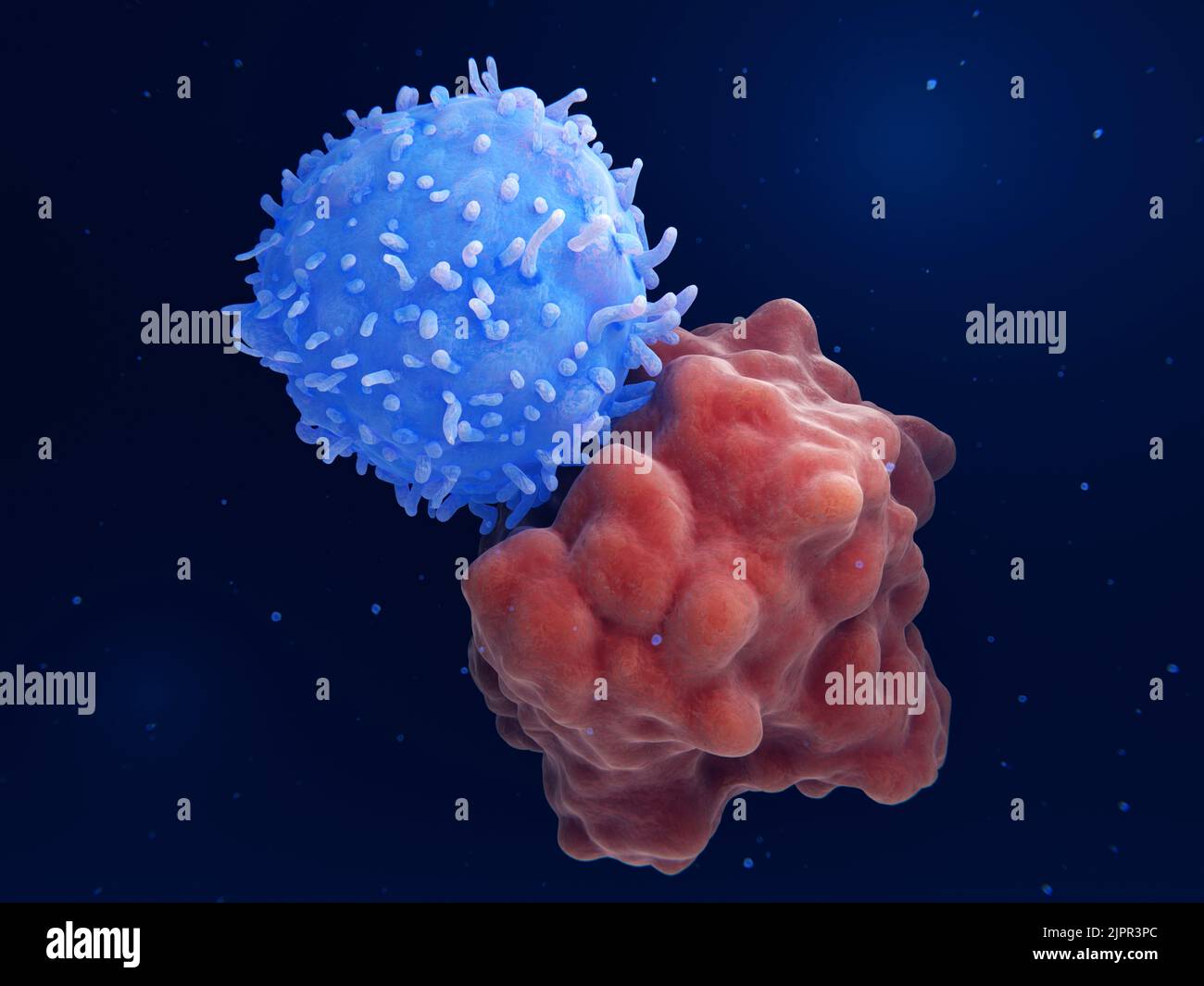 Cellule T ingegnerizzate che attaccano una cellula leucemica, illustrazione Foto Stock