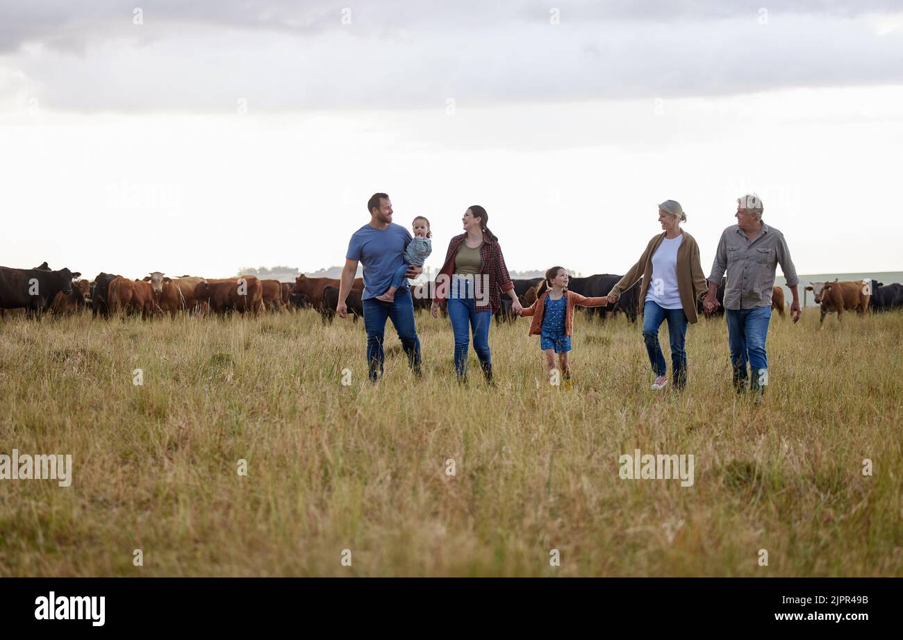 Agricoltura, sostenibilità e comunità familiare in una fattoria camminando insieme con le mucche in background. Felice agricoltura campagna gruppo relax tenuta Foto Stock