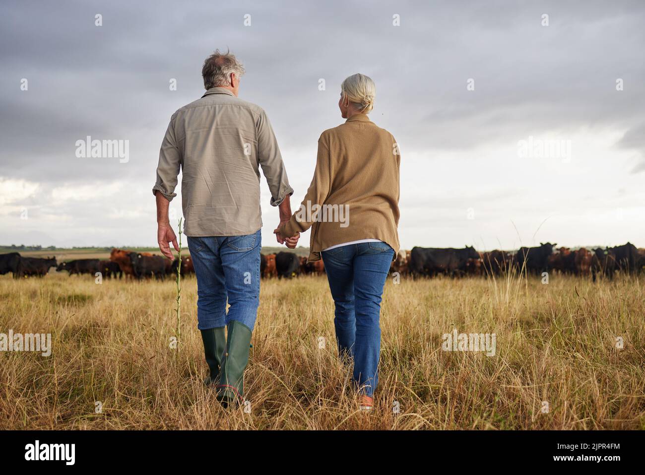 Coppia matura che tiene le mani e cammina su una fattoria di bestiame, legame e avere una giornata senza stress insieme. Gli agricoltori più anziani si divertano all'aperto, essendo Foto Stock