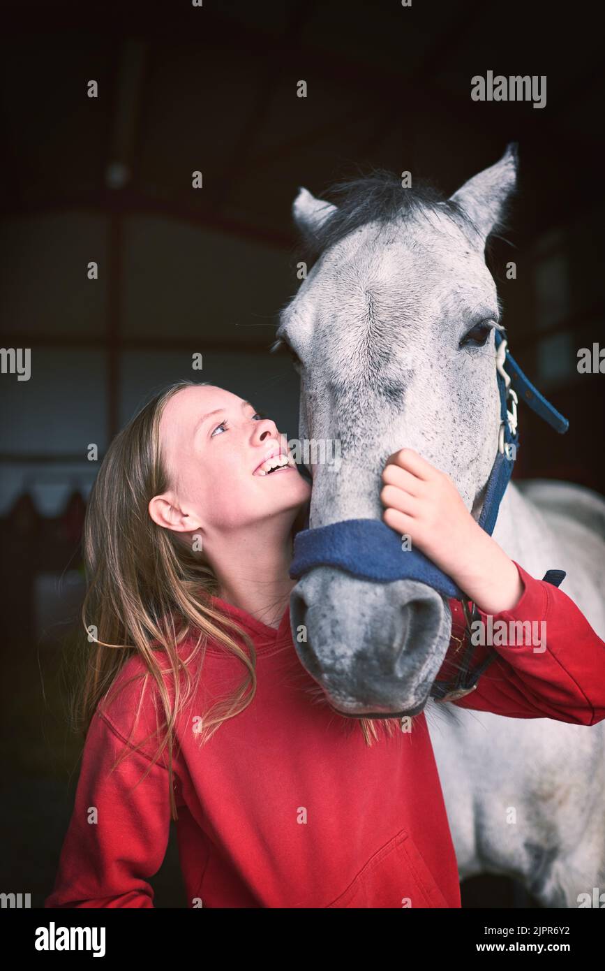 Sentitevi come andare a fare un giro. Una ragazza adolescente che si lega al suo cavallo. Foto Stock