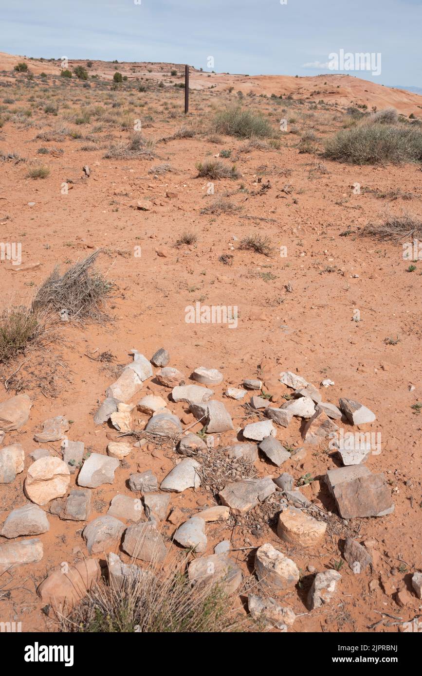 Vecchio campione di carotaggio dalla punta di prova nello Utah meridionale. Foto Stock