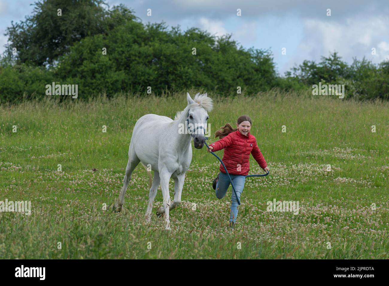 Ragazza, 10 anni, che corre con il suo cavallo nel pascolo, Meclemburgo-Pomerania occidentale, Germania Foto Stock