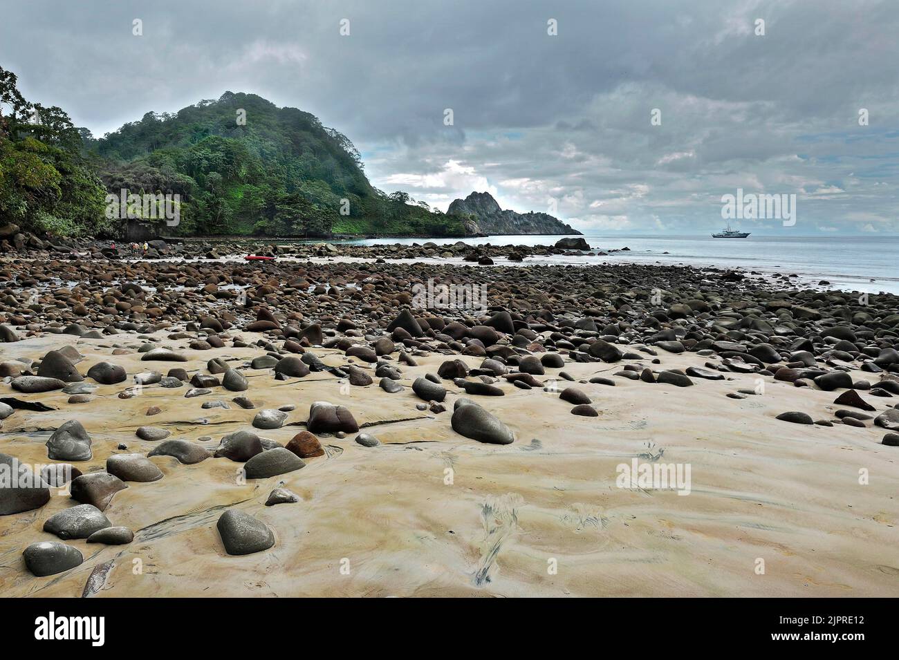 Spiaggia rocciosa e giungla, Cocos Island, patrimonio dell'umanità dell'UNESCO, Costa Rica, America Centrale Foto Stock