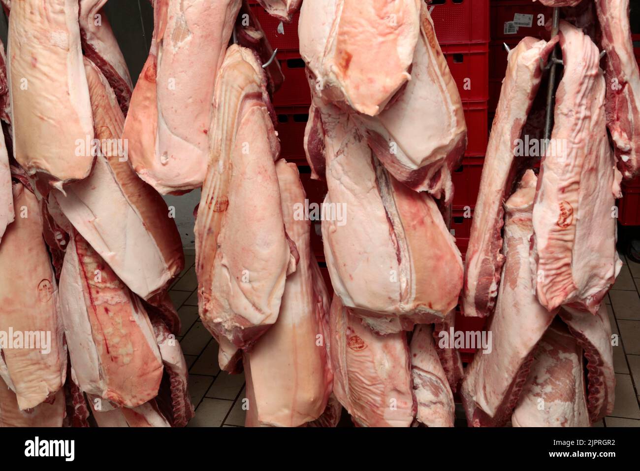 Maiale, maiali, lavorazione industriale di maiale. Macellaio, Repubblica Ceca Foto Stock