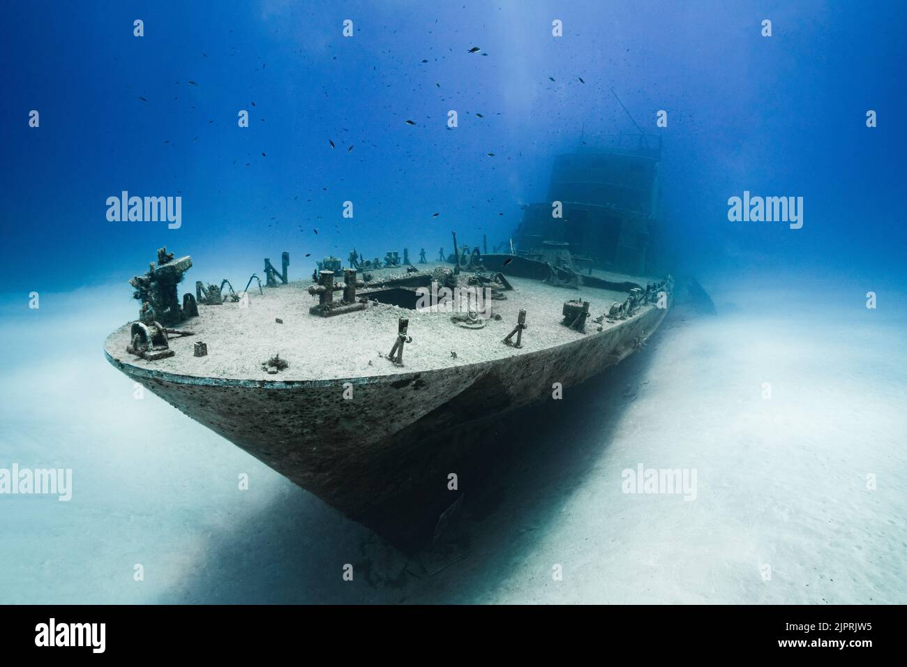 Immersioni su una pattuglia sommersa P31 a Comino da Gozo, Malta. Foto Stock