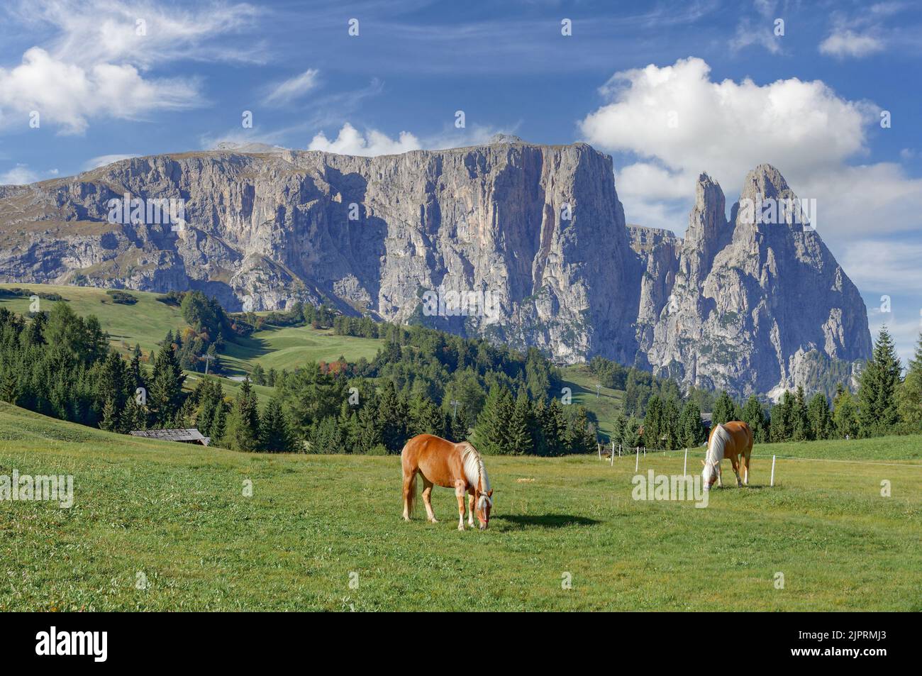 Paesaggio vicino a Hafling in Tirolo Sud, Italia Foto Stock