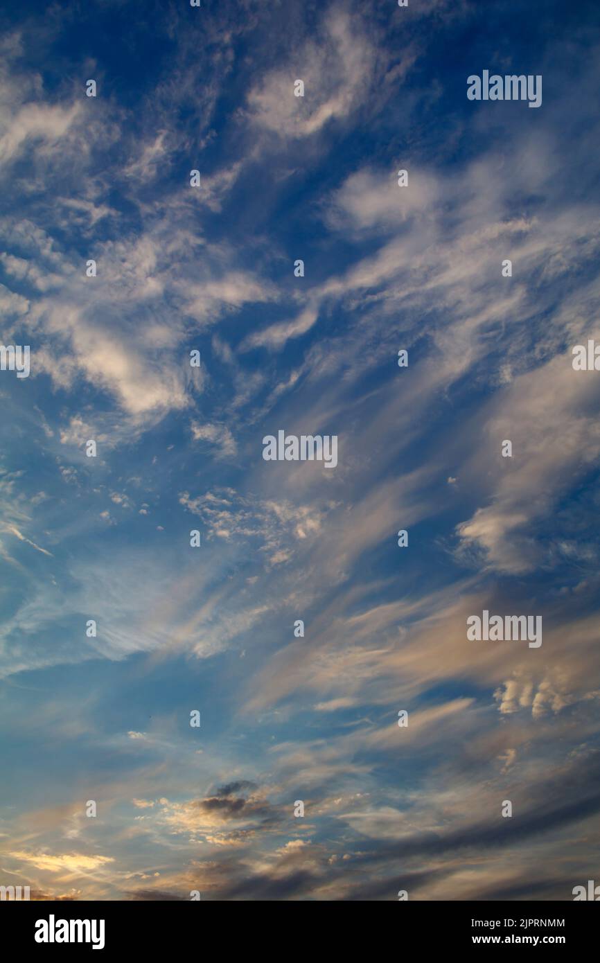 Filamenti contro un cielo blu Foto Stock
