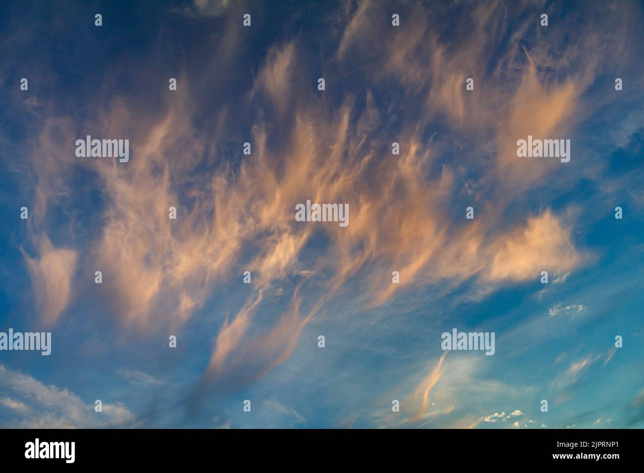 Filamenti contro un cielo blu Foto Stock