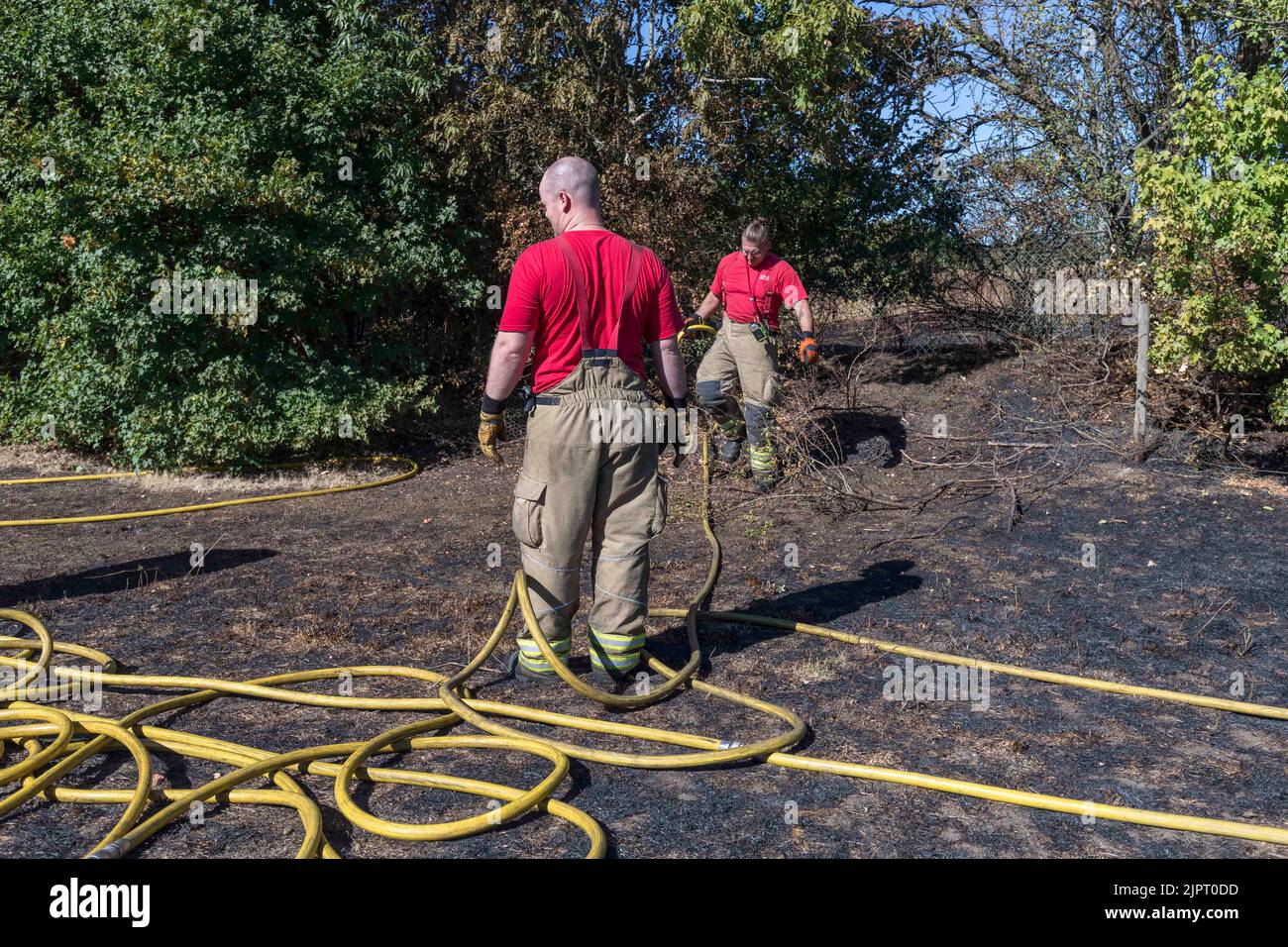 Un incendio d'erba scoppiò su Lambs Lane South a Rainham, Londra. Dieci vigili del fuoco e circa 70 vigili del fuoco hanno affrontato il fuoco. Il Regno Unito è ciao Foto Stock