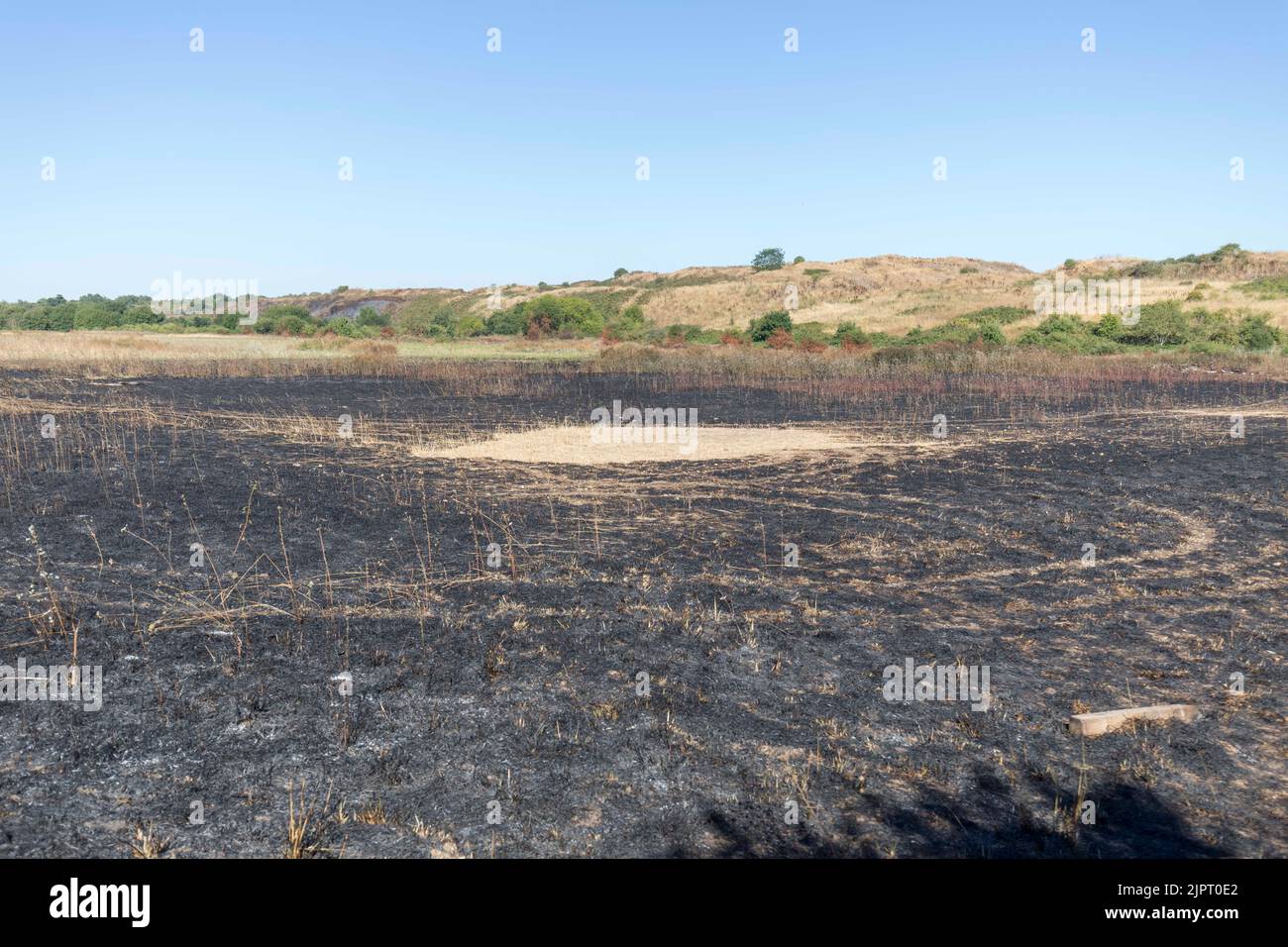 Un incendio d'erba scoppiò su Lambs Lane South a Rainham, Londra. Dieci vigili del fuoco e circa 70 vigili del fuoco hanno affrontato il fuoco. Il Regno Unito è ciao Foto Stock