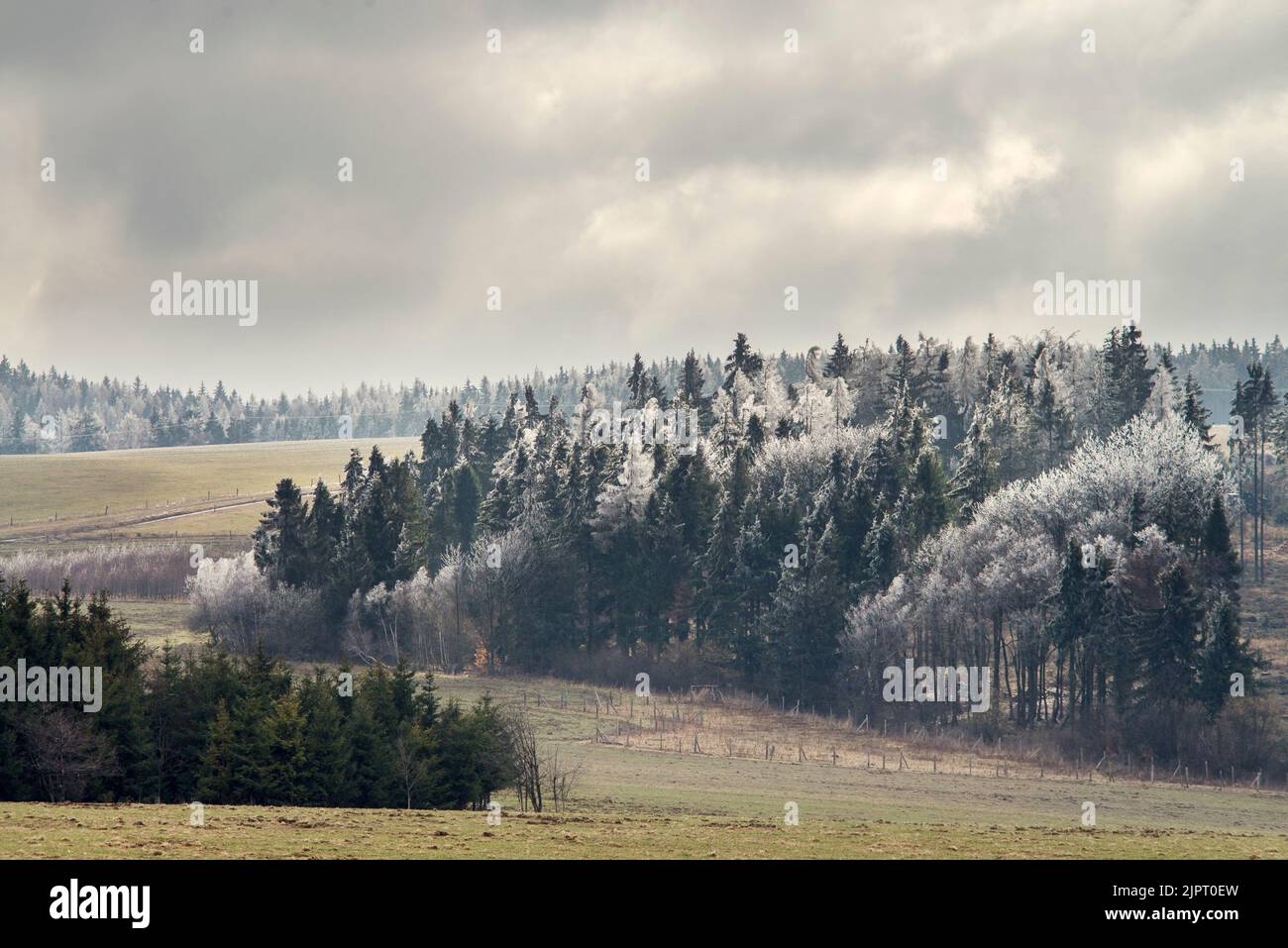 Guntramovice Repubblica Ceca Germania relazioni statua nei Sudeti Moravi in primavera con alberi coperti di ghiaccio. Foto Stock