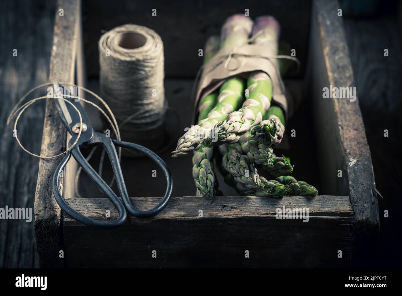 Asparagi freschi e primaverili in rustica scatola di legno con corda Foto Stock