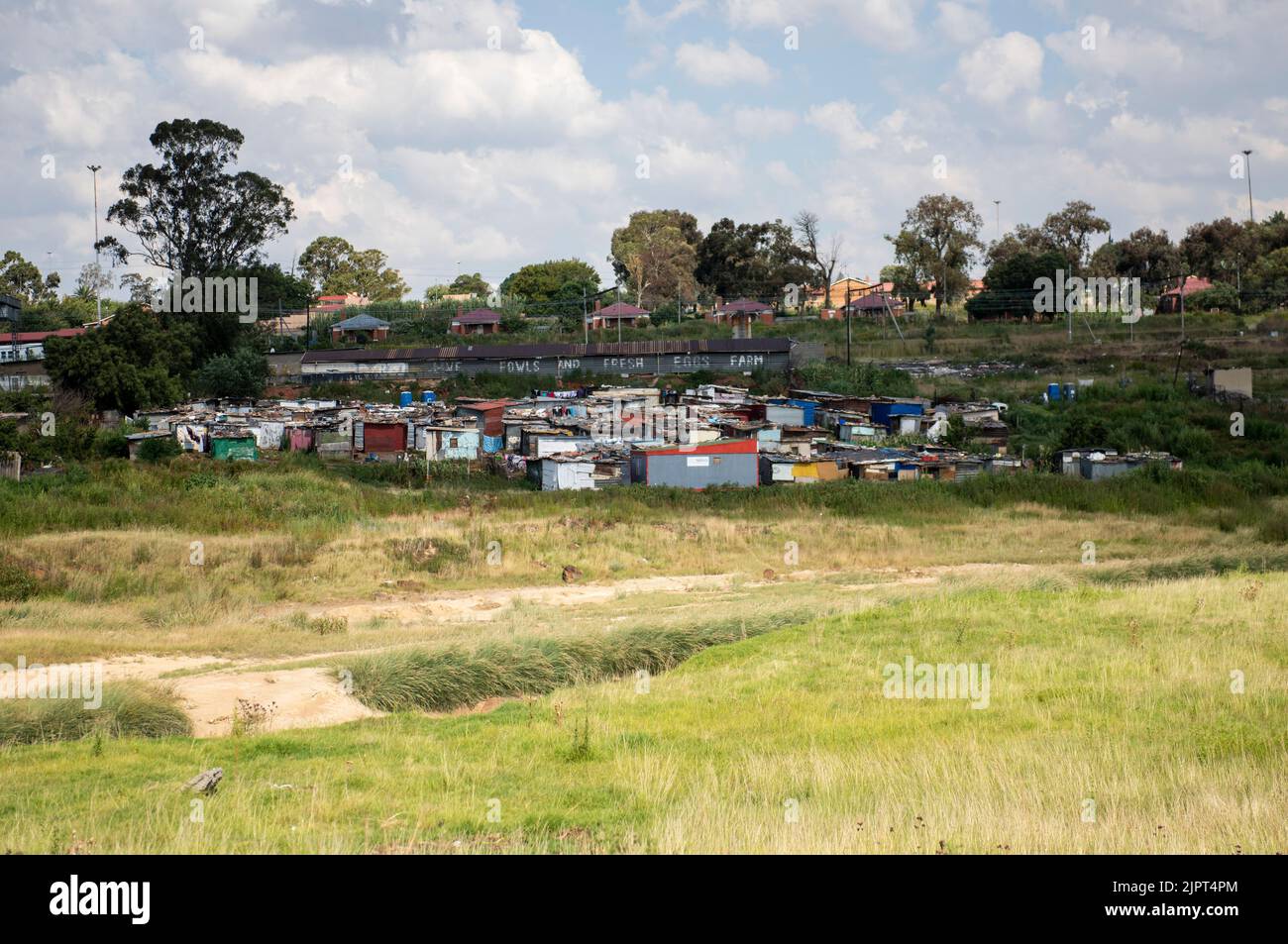 Campo di squatter DI SOWETO Foto Stock