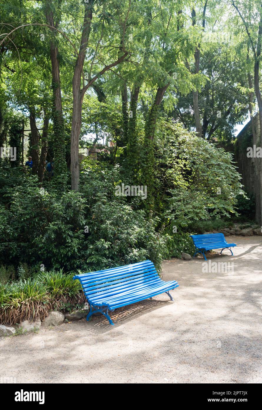 Panca blu brillante in un parco mediterraneo durante la siesta (Girona, Catalogna). Strada ombreggiata da alberi, tranquillo scenario, non persone Foto Stock