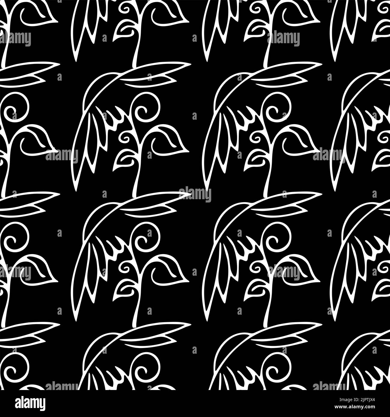 motivo floreale senza cuciture di fiori bianchi contorno su sfondo nero, texture, ripetizione pattern, design Foto Stock