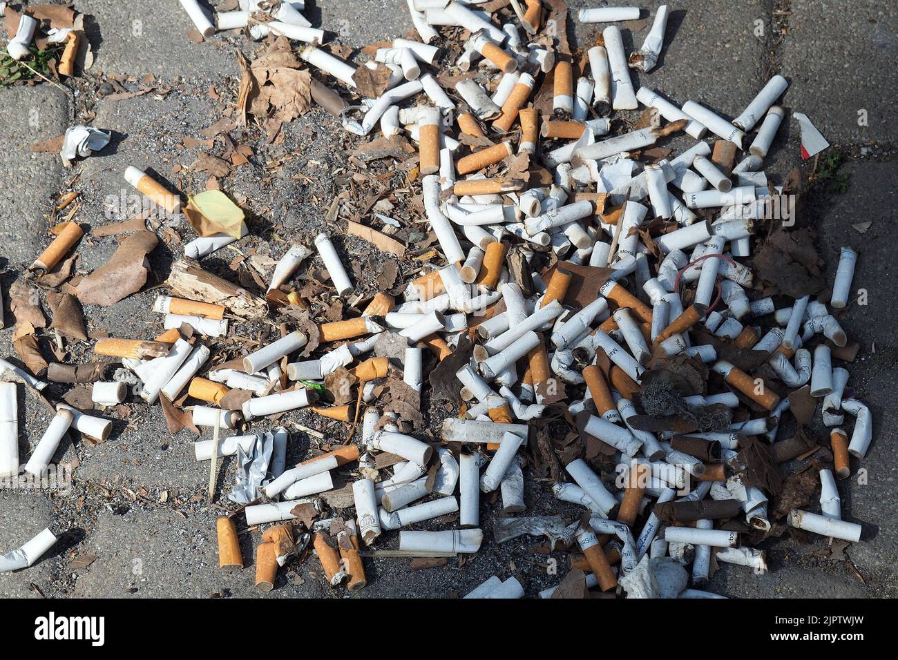 Mozziconi di sigaretta per strada, Budapest, Ungheria, Magyarország, Europa Foto Stock