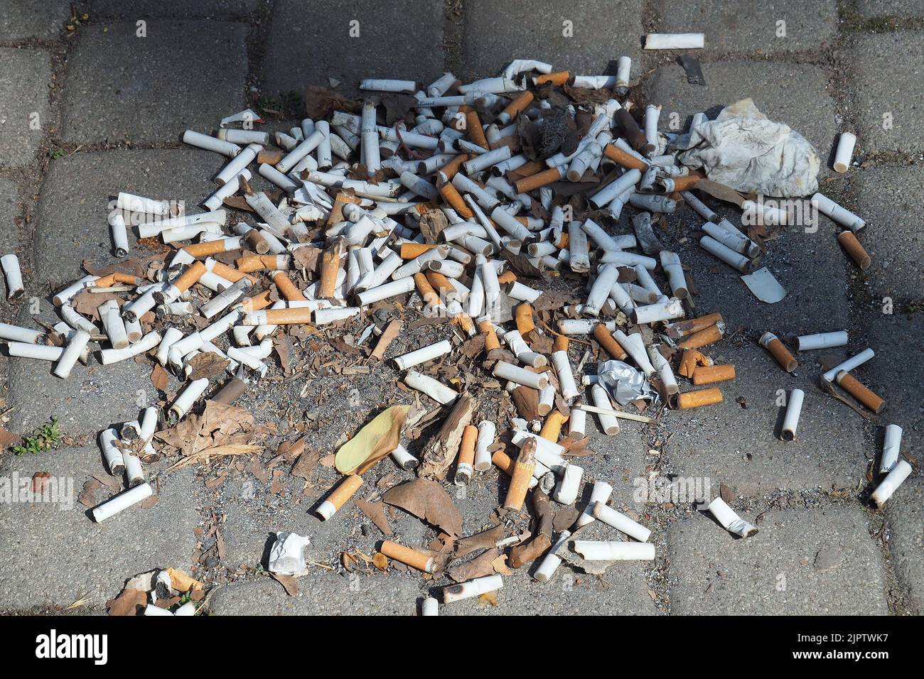 Mozziconi di sigaretta per strada, Budapest, Ungheria, Magyarország, Europa Foto Stock