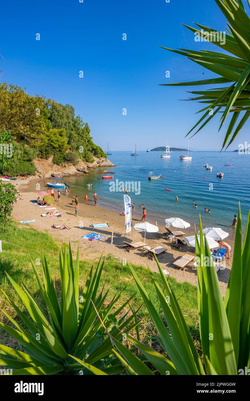 Vista di Paralia Megali Ammos nella città di Skiathos, Isola di Skiathos, Isole Sporadi, Isole greche, Grecia, Europa Foto Stock