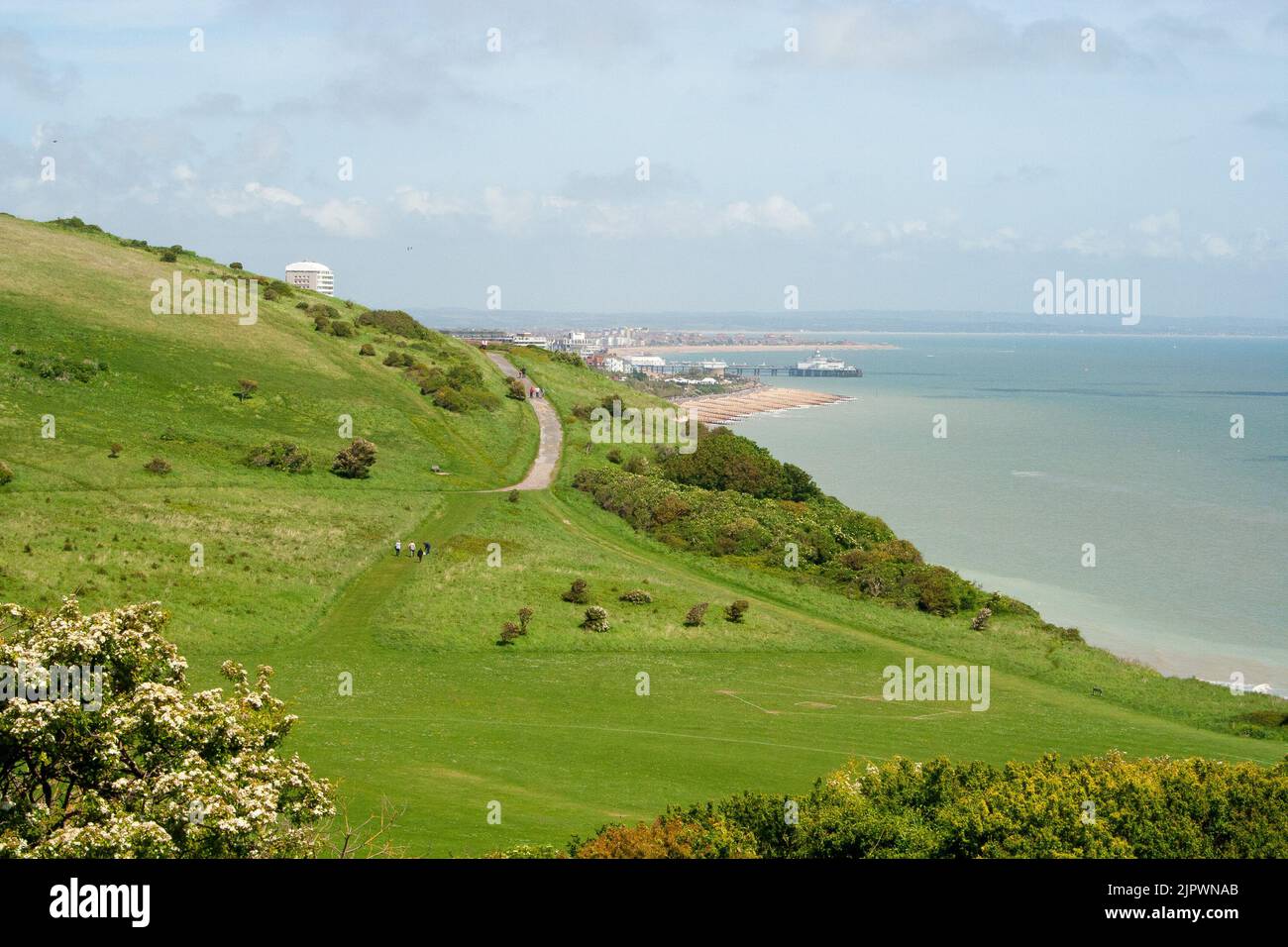 Un sentiero verso Eastbourne lungo la scogliera bianca in alto in un lungo fine settimana di maggio, Sussex, Inghilterra, Regno Unito Foto Stock