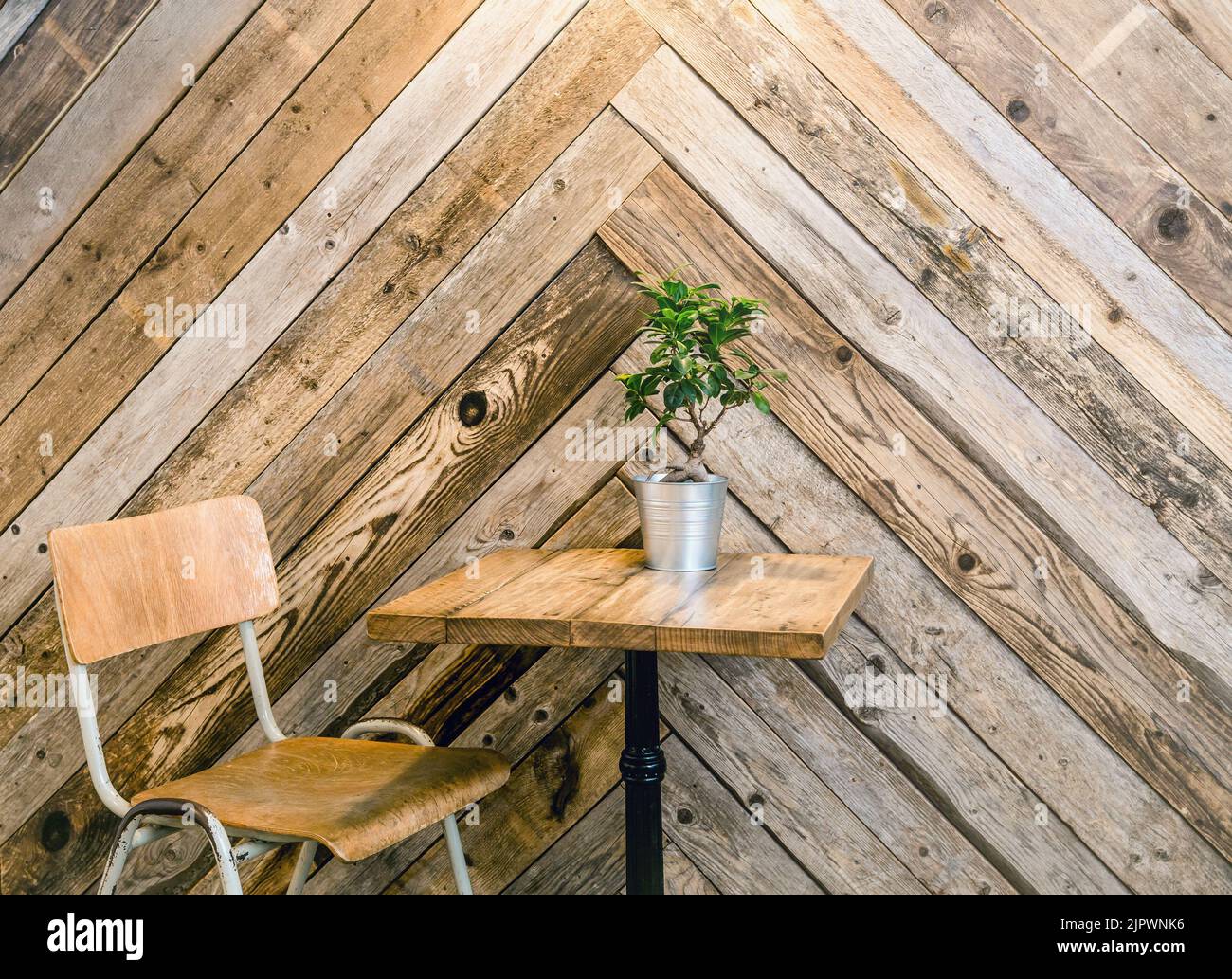 Riutilizzo di vecchie tavole di legno per creare una parete a spina di pesce o a spina di pesce in casa. Accento arredamento casa alternativo. Foto Stock