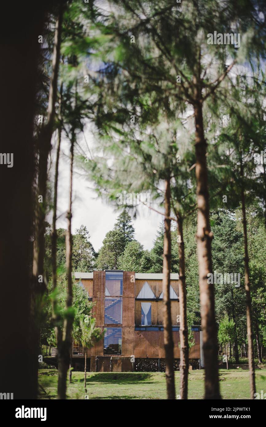 Una foto verticale di una moderna casa in legno nel mezzo della foresta tropicale in una giornata di sole Foto Stock