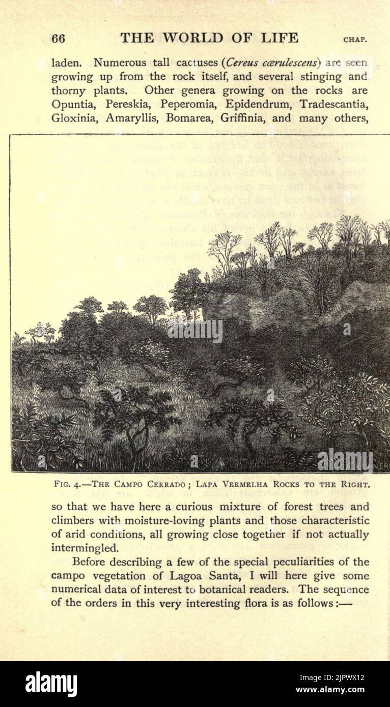 Il mondo della vita (pagina 66) Foto Stock