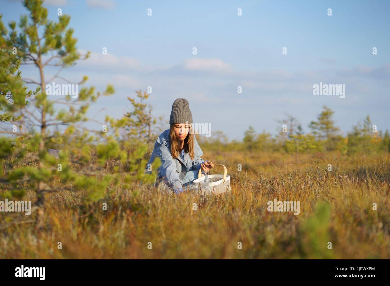 Elegante giovane donna in cappello e cappotto hipster raccoglie mirtilli rossi in erba prato Foto Stock