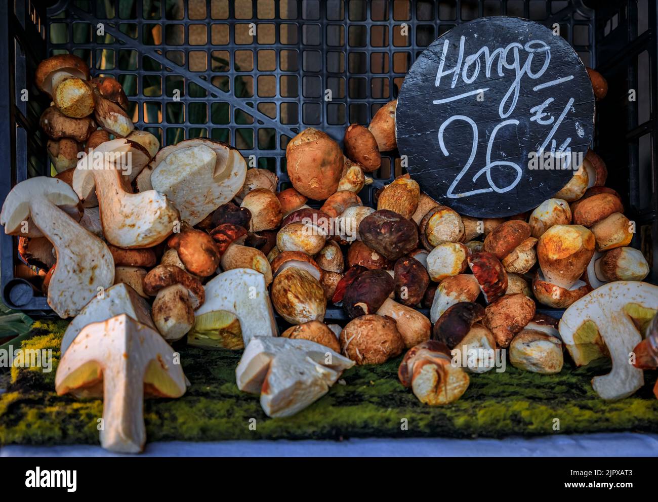 Porcini selvatici in un cesto in mostra presso un mercato agricolo a San Sebastian, Paesi Baschi, Spagna con un prezzo che dice funghi 26 Euro per kg Foto Stock