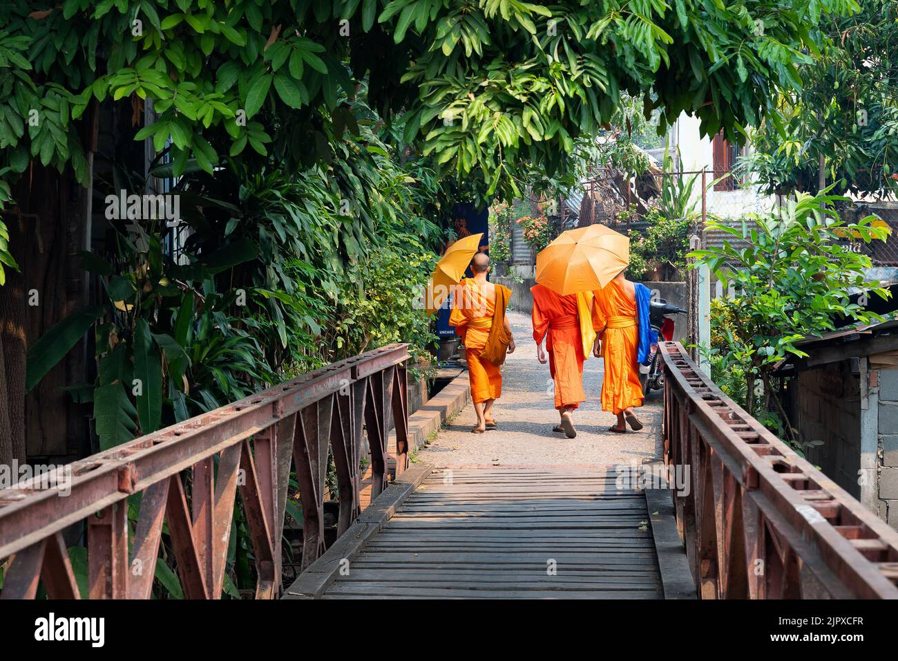 Una vista dei monaci che camminano su un ponte con alberi a Luang Prabang, Laos Foto Stock