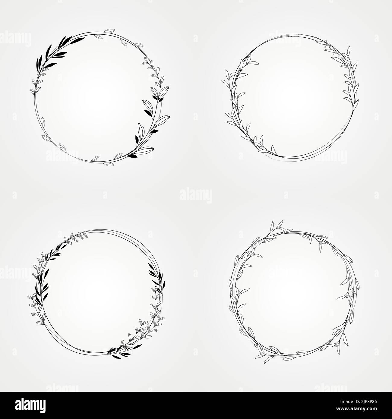 vettore di cerchio con cornice wreath botanico Illustrazione Vettoriale