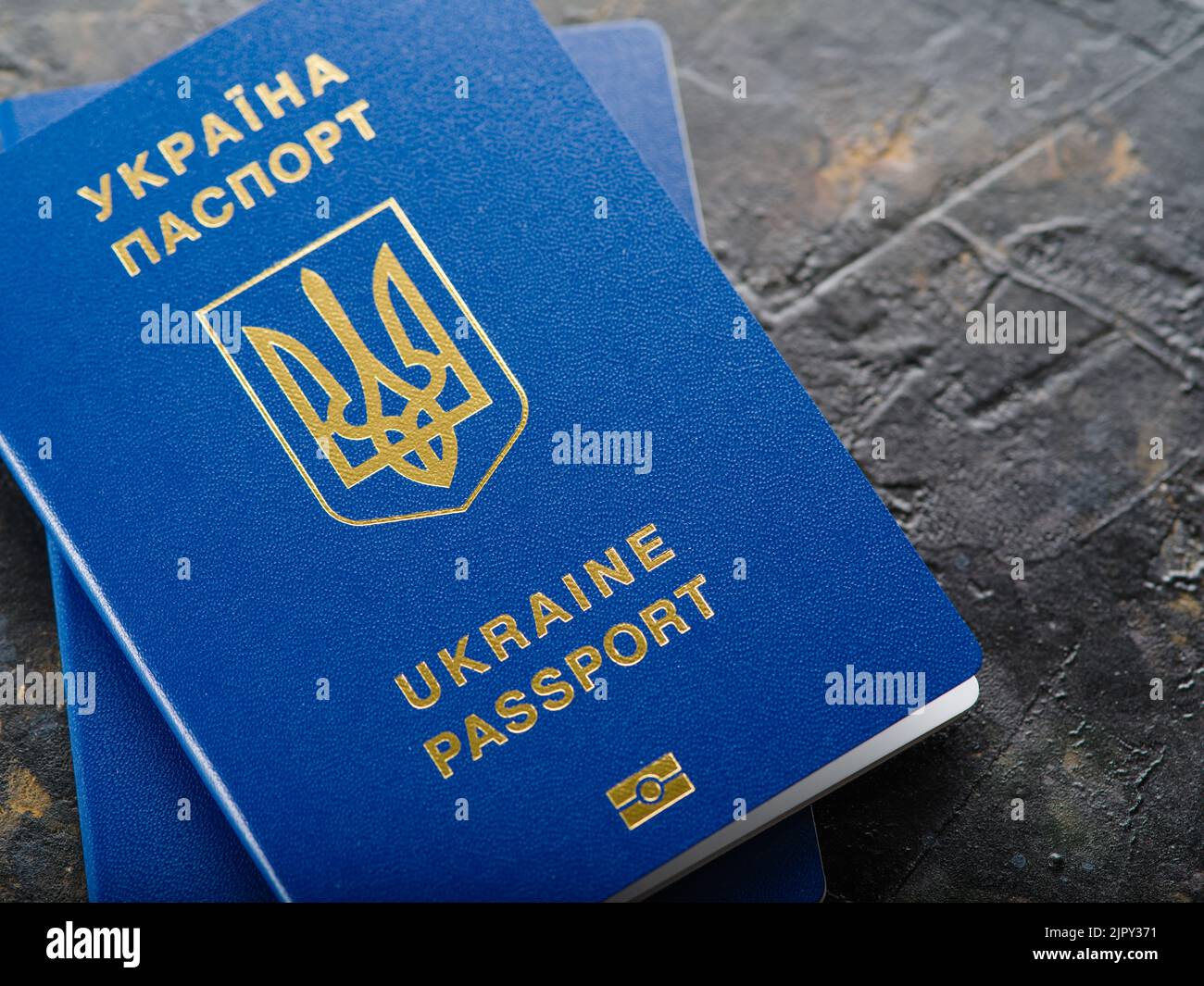 Primo piano. Due passaporti biometrici ucraini blu su sfondo grigio. Viaggi all'estero, trattamento dei visti, identificazione personale, ricreazione, studio, autobus Foto Stock