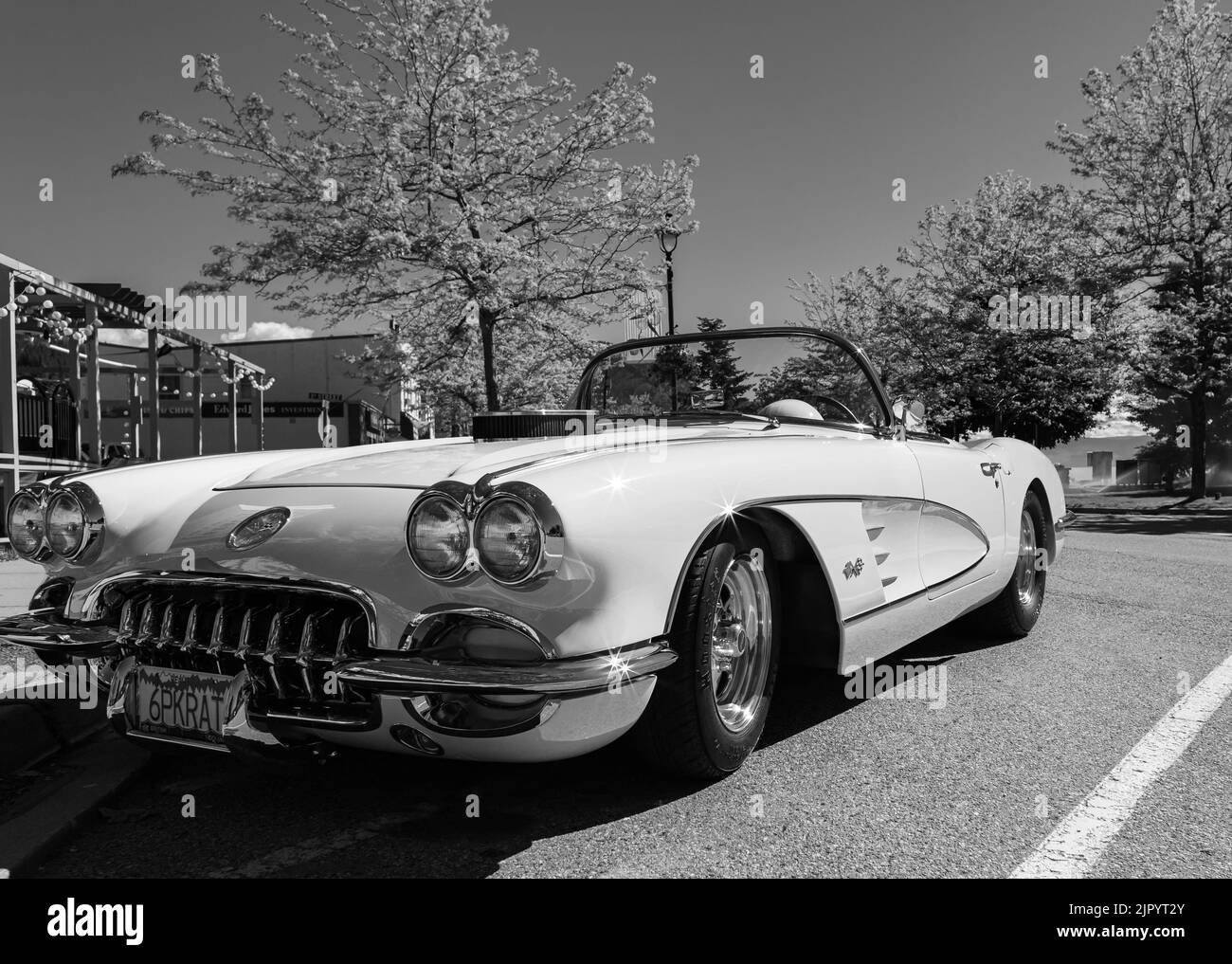 Un arancione 1959 Chevrolet Corvette Convertibile è al parco estivo. Vista frontale. Vintage Chevrolet Corvette una classica cabrio-Giugno 7,2022-Peachland BC Foto Stock