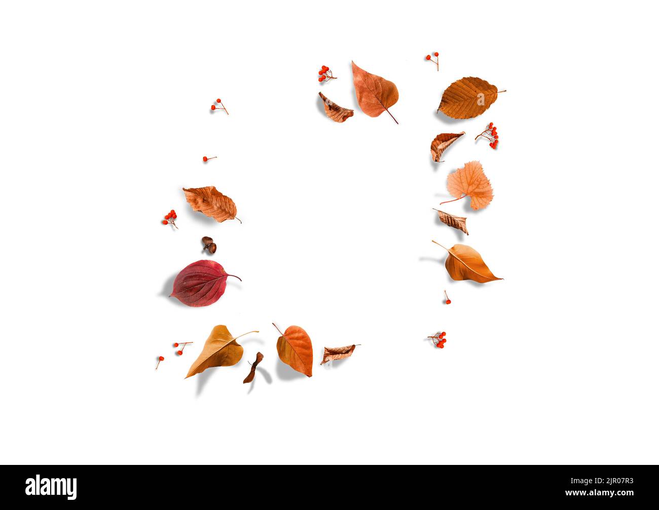 Composizione autunnale. Telaio fatto di foglie secche autunnali su sfondo bianco. Disposizione piatta, vista dall'alto, spazio di copia Foto Stock