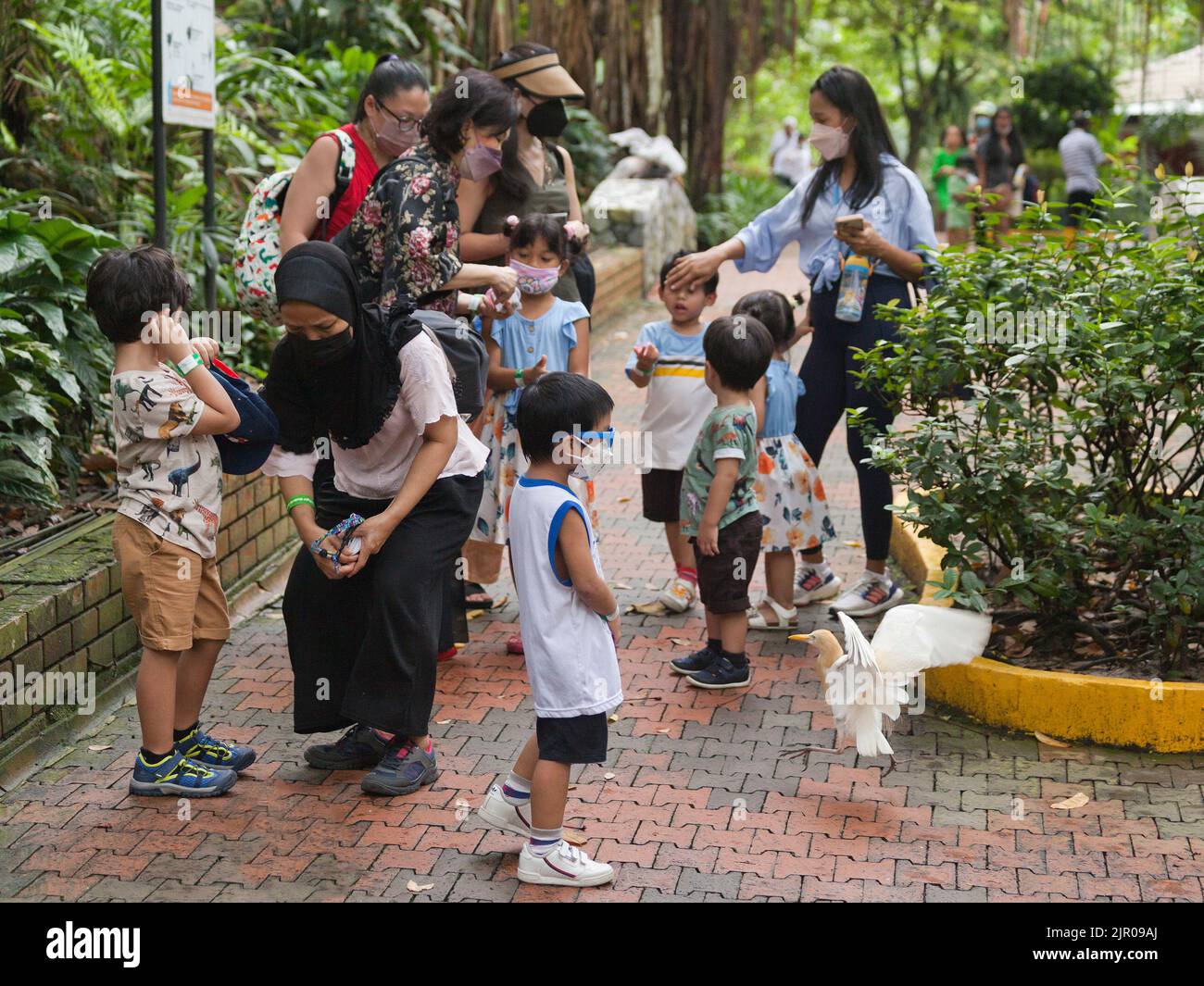 Turisti al parco ornitologico di Kuala Lumpur. Gruppi in visita con i bambini Foto Stock