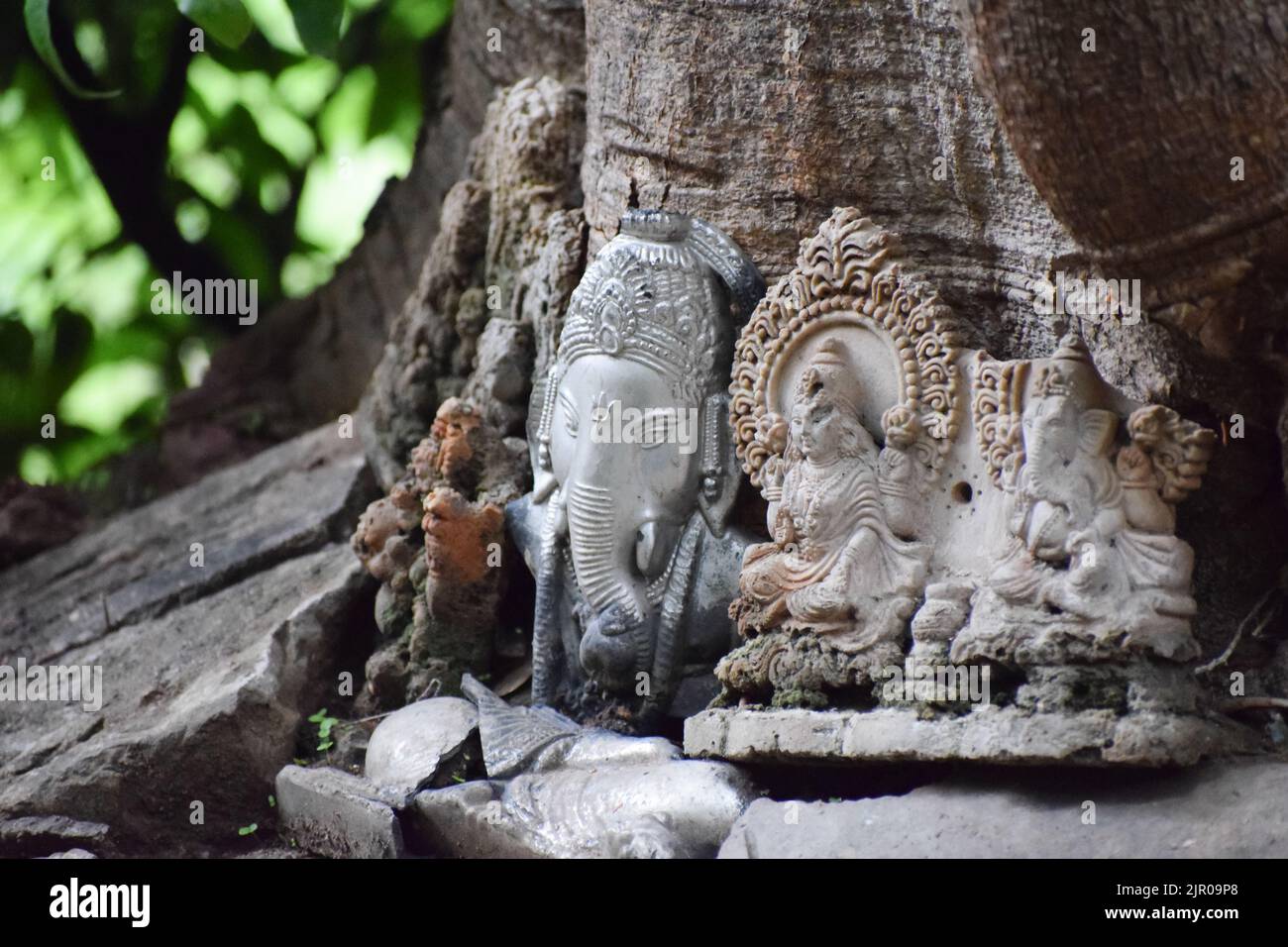 Idoli di divinità indù sotto un albero. Foto Stock