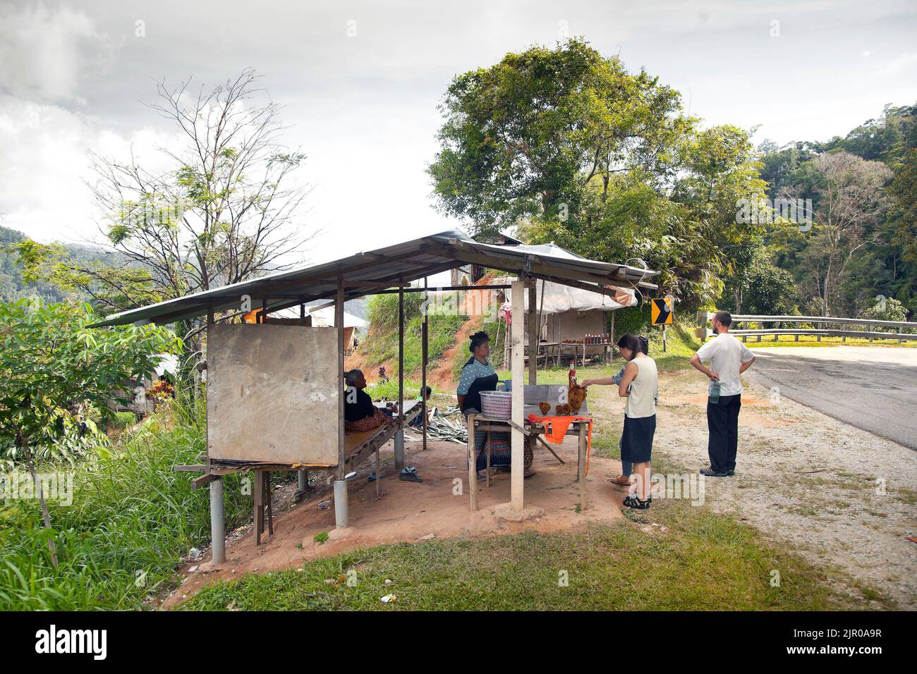 Orang asli insediamento, Cameron Highlands, stalla su strada che vende miele, testa di pollo dorato felce, visita turistica Foto Stock