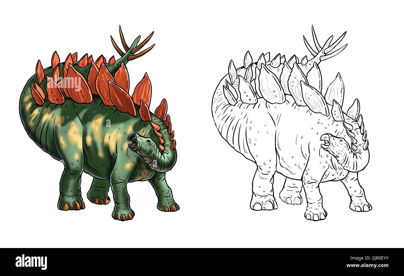 Dinosauro erbivoro - Stegosauro. Disegno Dino Outline. Pagina da colorare. Foto Stock