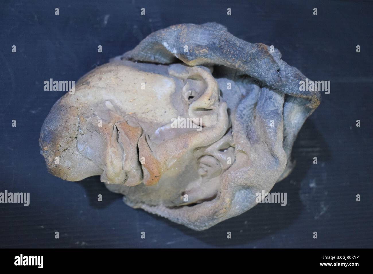 La parte di testa di uno scultore su una tavola di sfondo nero Foto Stock