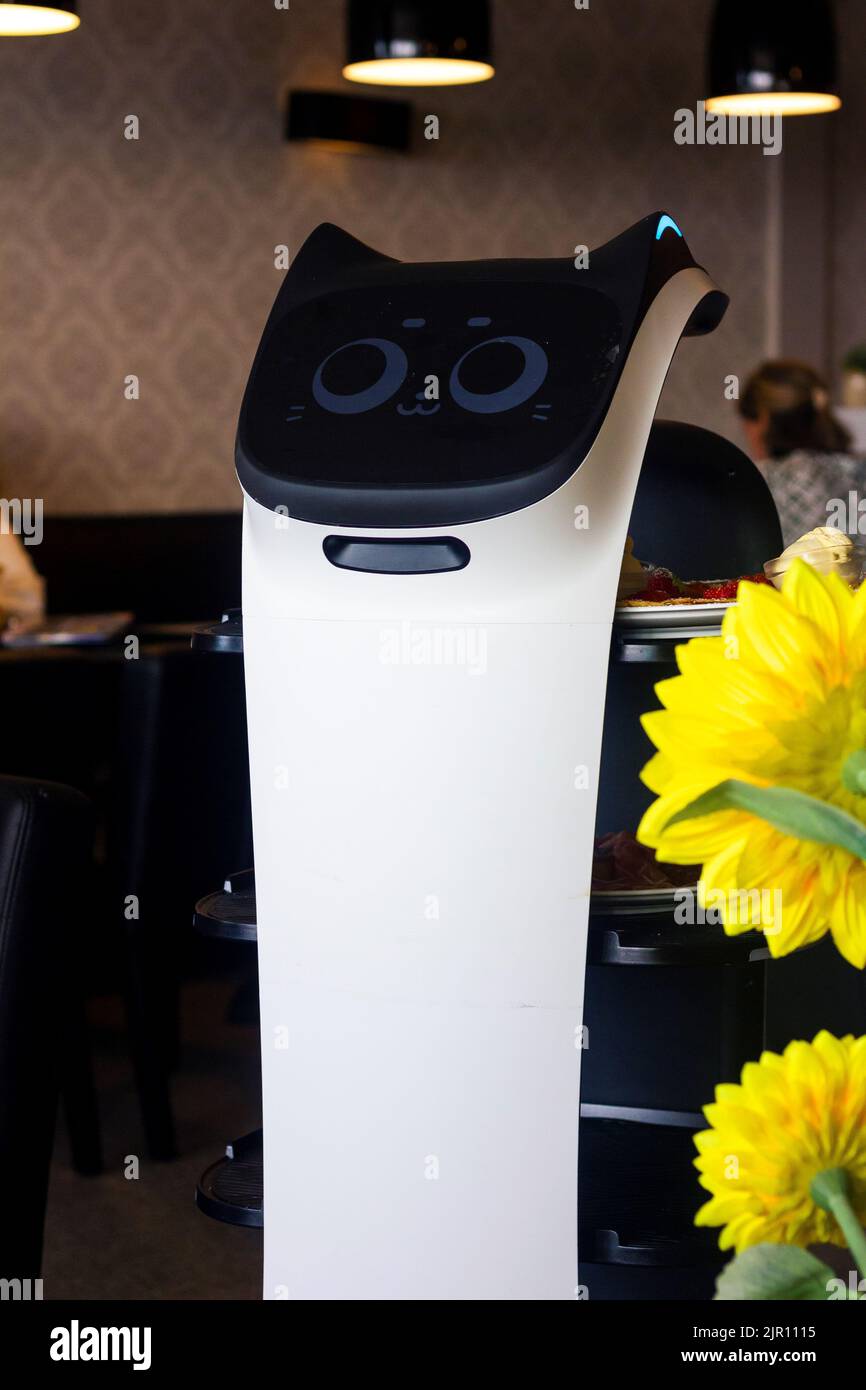 Un ritratto di un robot serving su ruote con uno schermo che mostra un viso carino gatto, cavalcando attraverso un ristorante con piatti di cibo sui suoi vassoi aiutare Foto Stock