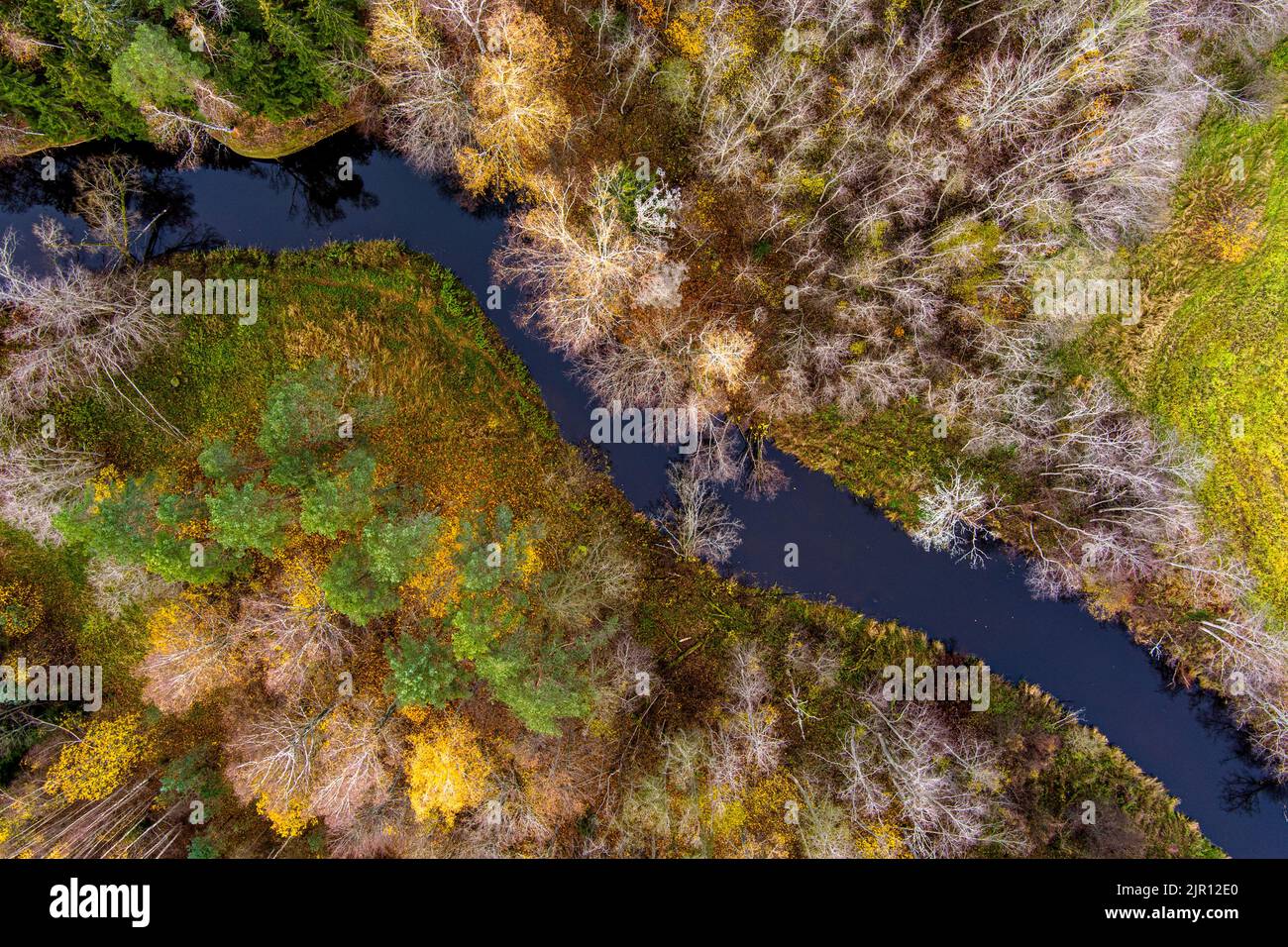 Calma foresta fiume Aerial vista dall'alto verso il basso dal drone, tardo autunno con fogliame piccolo sugli alberi Foto Stock